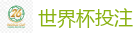 2026世界杯 (FIFA WorldCUP)中国竞彩指定网站